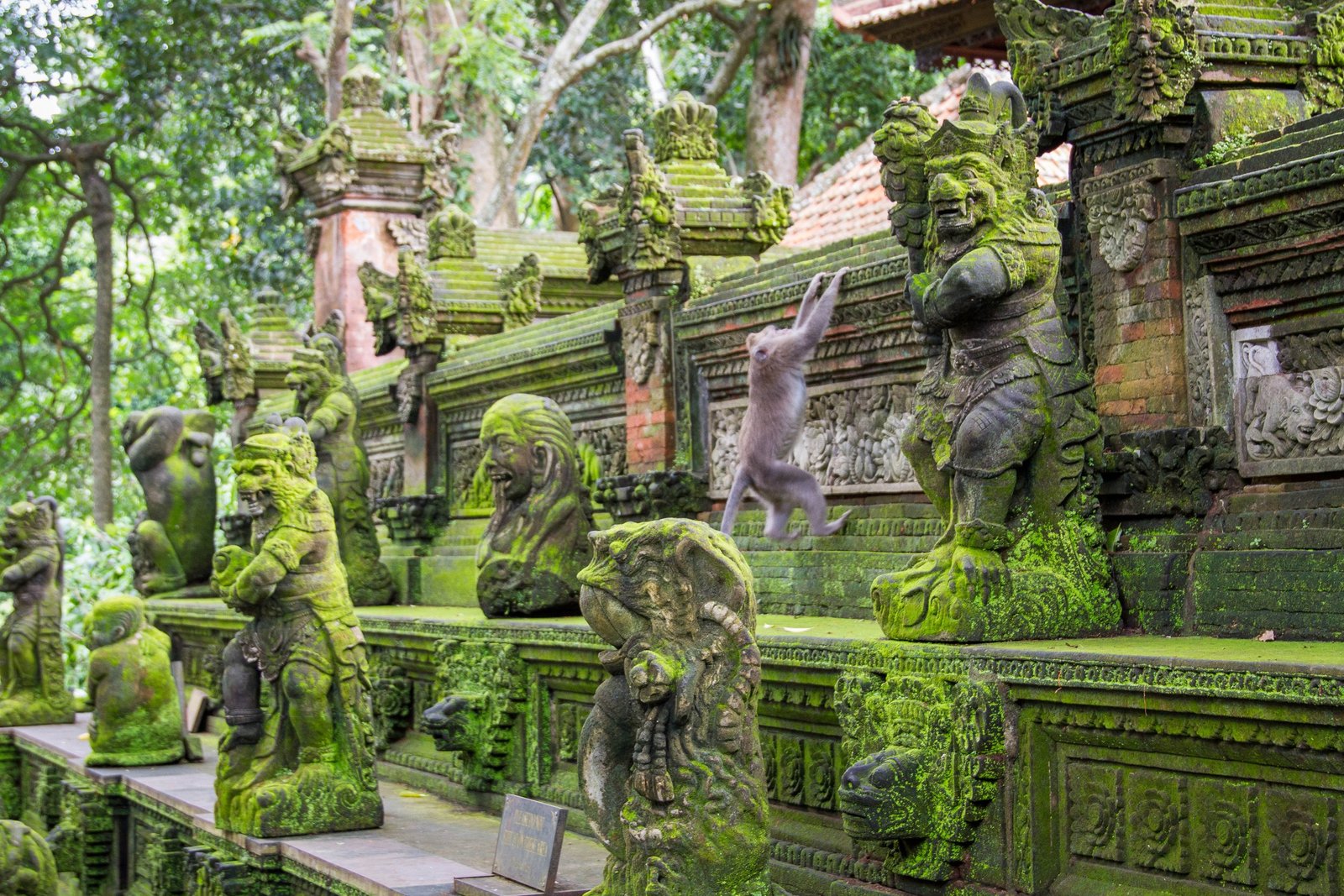 Monkey-Climbs-statues-at-Sacred-Monkey-Forest-Ubud-Indonesia