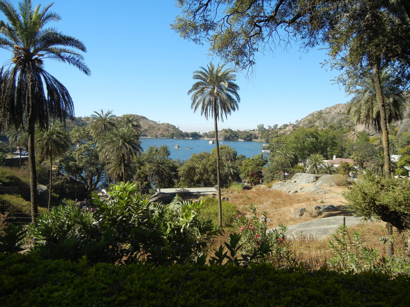 Nakki_Lake_from_Mount_Abu_Wildlife_Sanctuary