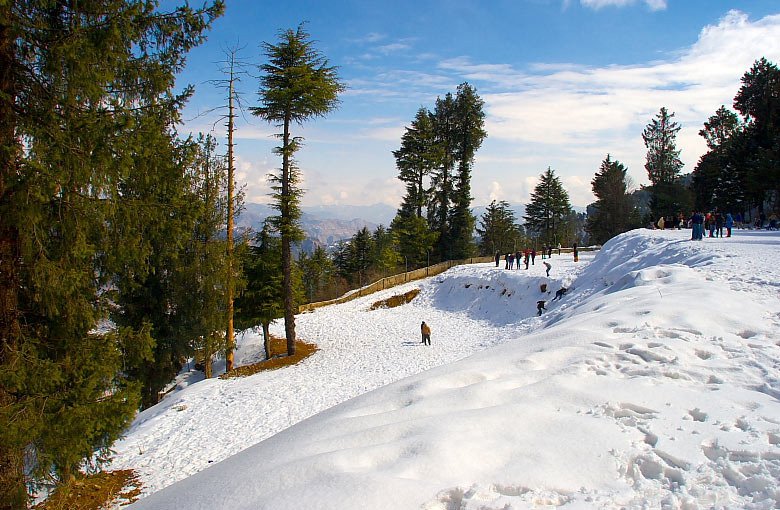 shimla-kufri-fagu-shimla